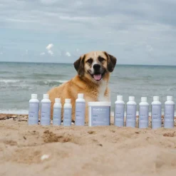 Alodis Care - Baume après choc pour chiens Cani Urgency