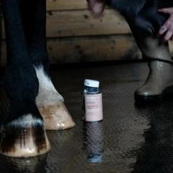 Alodis Care - Fourchette Clean