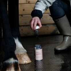 Alodis Care - Fourchette Clean