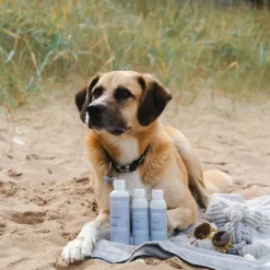 Sale Alodis Care - Gel cicatrisant Cani Repair pour chien