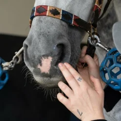 Alodis Care - Gel protecteur cutané Sensitive Zinc