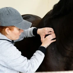 Hot Alodis Care - Huile massante Work Recup après effort