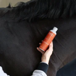 Hot Alodis Care - Huile massante Work Recup après effort