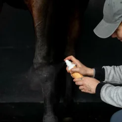 Alodis Care - Spray assainissant Top Clean