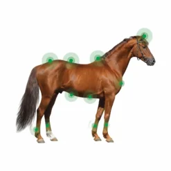 Hot Animaderm - Crème dermite estivale pour peau épaisse Derfen clear