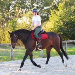 Best Animo Italia - Pantalon d'équitation femme Nule kaki Vert