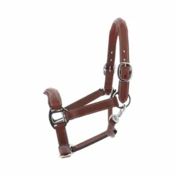 Online Antarès Sellier - Licol doublé cuir marron