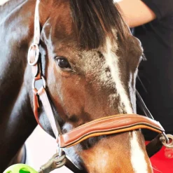 Online Antarès Sellier - Licol doublé cuir marron