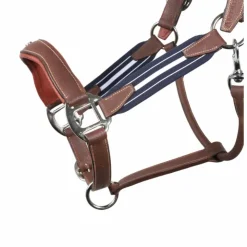 Antarès Sellier - Licol en cuir Stressless grainé havane / marine Outlet