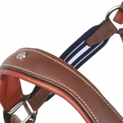 Antarès Sellier - Licol en cuir Stressless grainé havane / marine Outlet