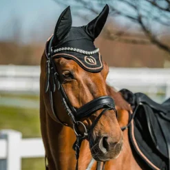 Back On Track - Bonnet Haze Noir Online