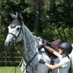 Back On Track - Bonnet pour cheval Noir Discount