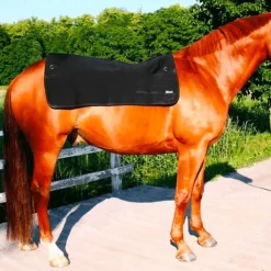 Back On Track - Chauffe-dos Back Warmer Noir Clearance