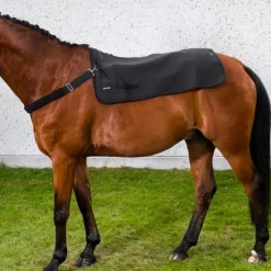 Back On Track - Chauffe-dos Back Warmer Noir Clearance