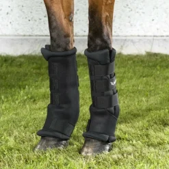 Back On Track - Guêtres d'écurie royales x2 Noir Hot