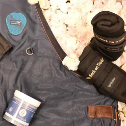 Back On Track - Guêtres d'écurie royales x2 Noir Hot