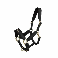 Back On Track - Licol Werano Noir New