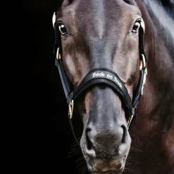 Back On Track - Licol Werano Noir New