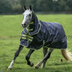 Bucas - Couverture d'extérieur Oasis Turnout 100 / lime 100g Gris New