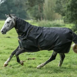 Bucas - Couverture d'extérieur Irish Turnout 250 / gold 250g Noir Outlet