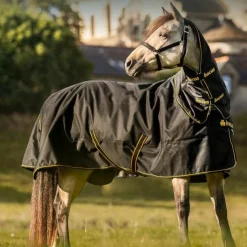 New Bucas - Couverture d'extérieur Irish Turnout 300 / gold 300g Noir