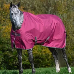 Bucas - Couverture d'extérieur Freedom Turnout 300 rasberry 300g Bordeaux Clearance