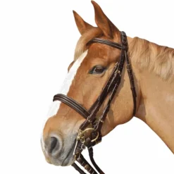 Canter - Bride Euro avec rênes (2 paires) Marron Discount