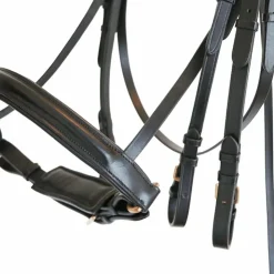 Best Canter - Bride Euro avec rênes (2 paires) Noir