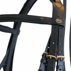 Best Canter - Bride Euro avec rênes (2 paires) Noir