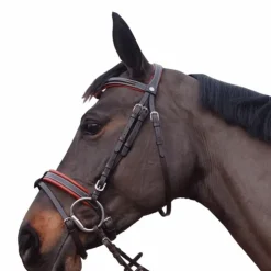 Sale Canter - Bridon Alme têtière anatomique marron Havane