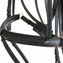 Canter - Bridon Euro pull back avec rênes Noir Sale