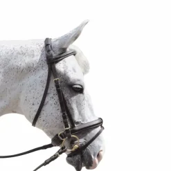 Canter - Bridon Euro pull back avec rênes marron Havane Hot