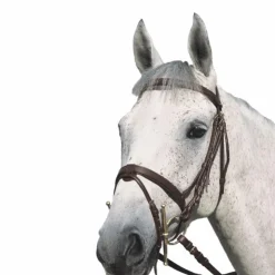 Canter - Bridon Plat doublé avec rênes marron Havane Outlet