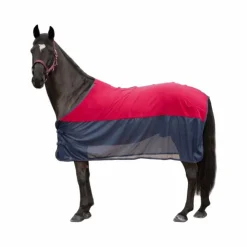 Hot Canter - Chemise séchante filet / marine Bordeaux