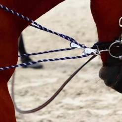 Canter - Enrênement à poulies pour longe corde Marine Hot