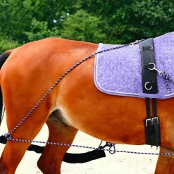 Canter - Enrênement à poulies pour longe corde Marine Hot