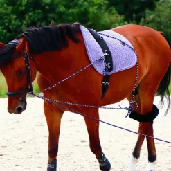 Canter - Enrênement à poulies pour longe corde Marine Hot