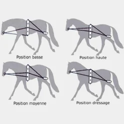 Canter - Enrênement à poulies pour longe corde Marine Hot