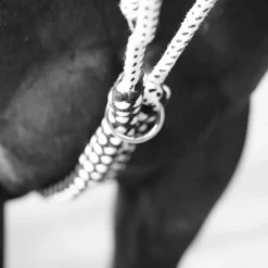 Canter - Enrênement Soft Ride Marine