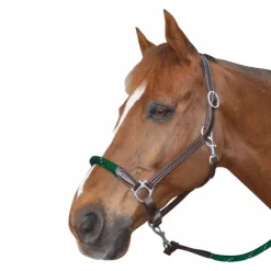 Online Canter - Licol cheval corde /vert boucles blanche Marron