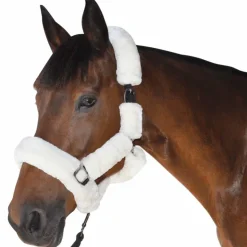 Discount Canter - Licol de transport naturel