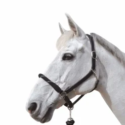 Online Canter - Licol en corde bouclerie argent / argent Noir