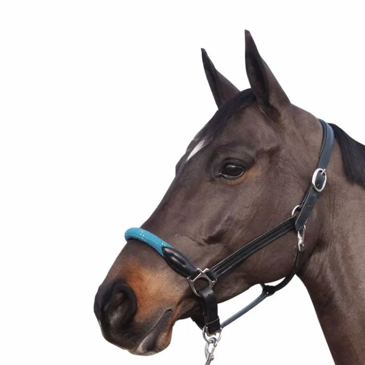 Canter - Licol en corde bouclerie argent / emeraude Noir New