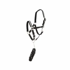New Canter - Licol et longe nylon noir / argent