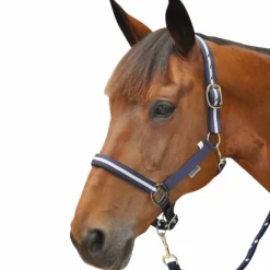 Canter - Licol et longe nylon / argent Marine Sale