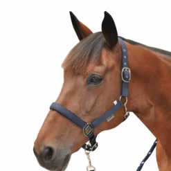 Canter - Licol nylon doublé Marine Discount