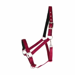 Canter - Licol nylon doublé Bordeaux New