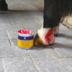 Hot Carr & Day & Martin - Crème Protection Plus