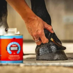 Carr & Day & Martin - Huile pour sabots Cornucrescine Hoof Dressing