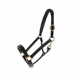 Outlet Chetak - Licol cheval Bright cuir doublé Noir